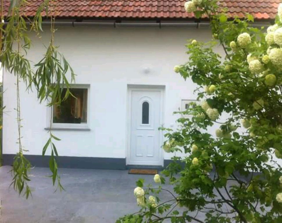 Guest House First Stop Rakovica Zewnętrze zdjęcie