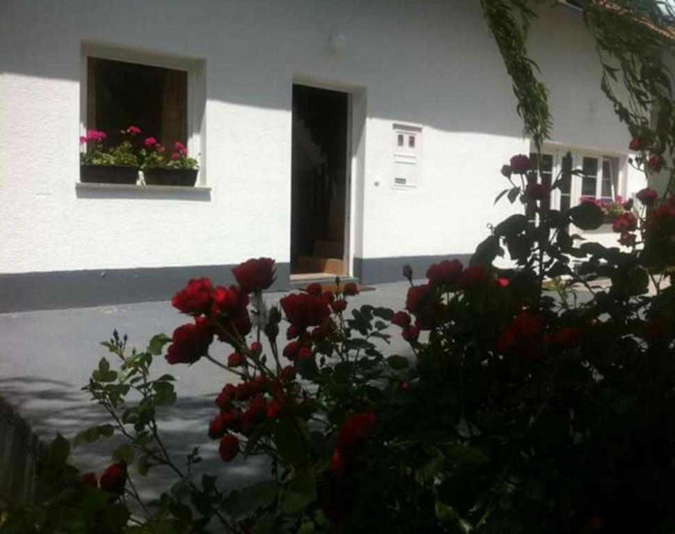 Guest House First Stop Rakovica Zewnętrze zdjęcie